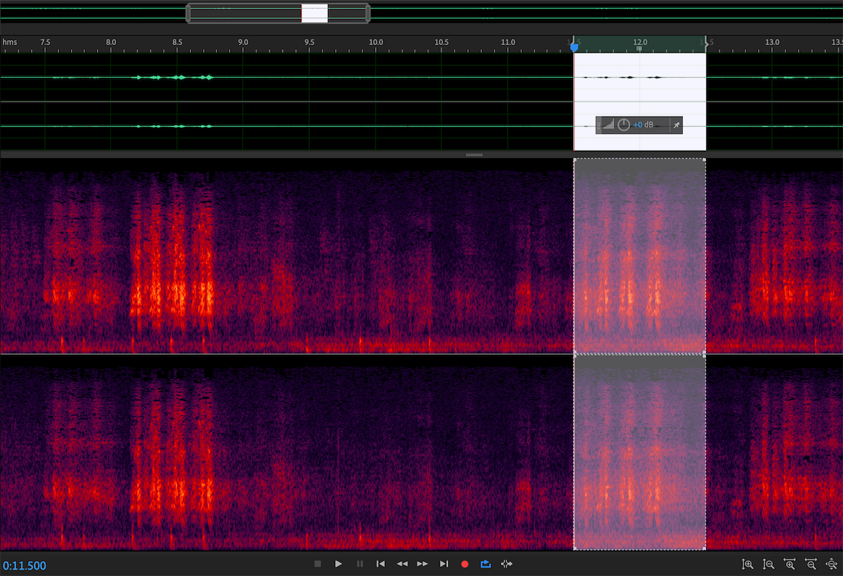 birds call audio waves and spectrogram showing in adobe audition